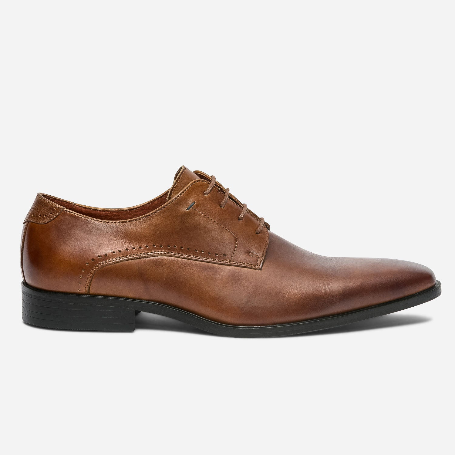 Derby cognac discount